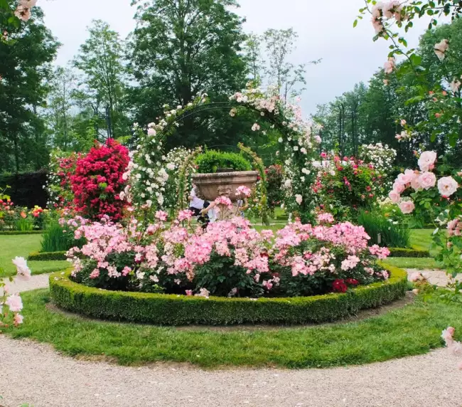 Les Journées de la rose 2026