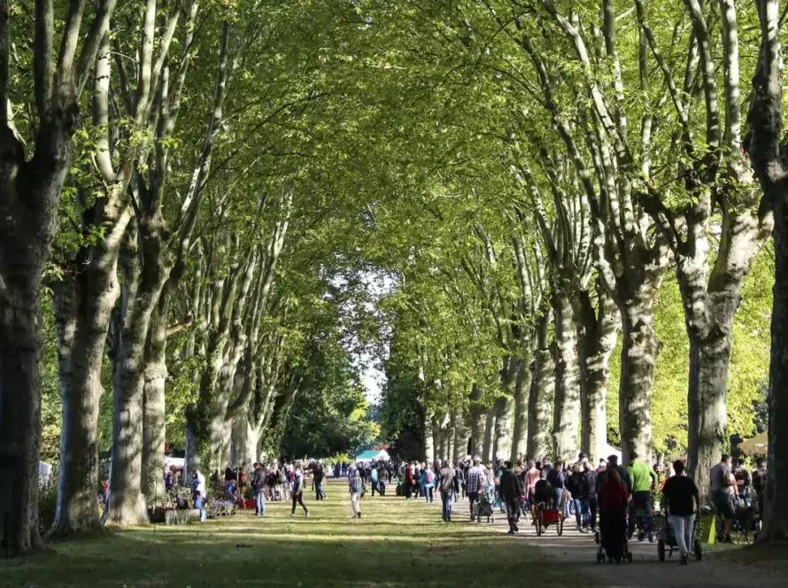 fête des Plantes de Schoppenwihr