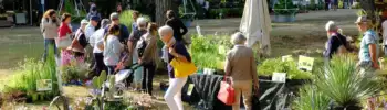 Folie des Plantes 2026