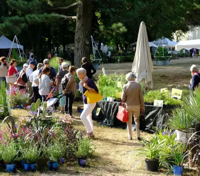 Folie des Plantes 2026