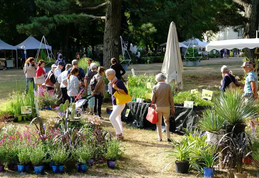 Folie des Plantes 2026